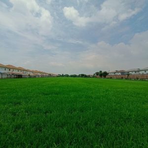 出售地皮-泰国-曼谷-39517.2-平方米-300-01