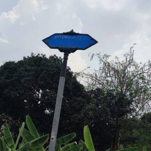 出售地皮-泰国-曼谷-396-平方米-233.78-01