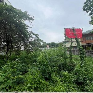 出售地皮-泰国-曼谷-400-平方米-1412.58-01