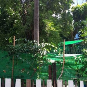 出售地皮-泰国-曼谷-400-平方米-2271.43-01