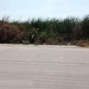 出售地皮-泰国-曼谷-400-平方米-342.86-01