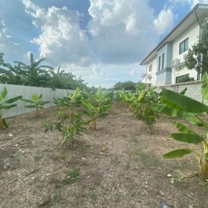 出售地皮-泰国-曼谷-412-平方米-582.55-01