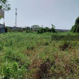 出售地皮-泰国-曼谷-416-平方米-123.63-01