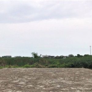 出售地皮-泰国-曼谷-440-平方米-116.89-01