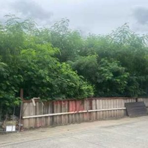 出售地皮-泰国-曼谷-456-平方米-2255.66-01