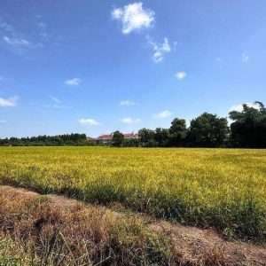 出售地皮-泰国-曼谷-46828-平方米-471.46-01