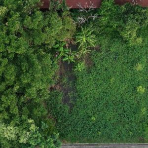 出售地皮-泰国-曼谷-476-平方米-208.89-01