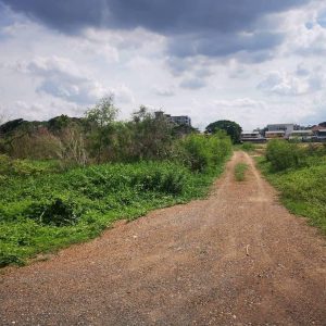 出售地皮-泰国-曼谷-480-平方米-342.86-01