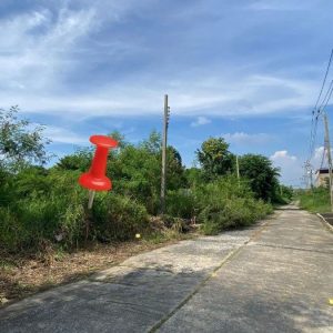 出售地皮-泰国-曼谷-484-平方米-318.8-01