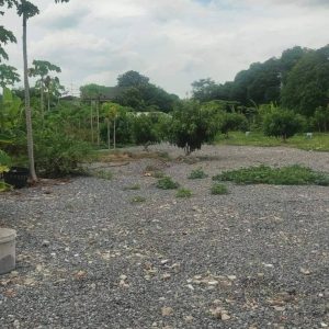 出售地皮-泰国-曼谷-500-平方米-1028.58-01