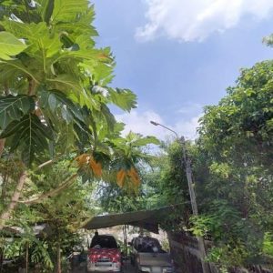 出售地皮-泰国-曼谷-54400-平方米-514.29-01