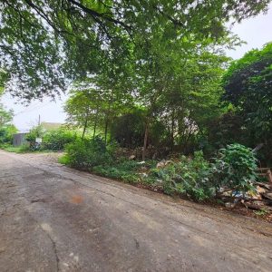 出售地皮-泰国-曼谷-580-平方米-727.12-01