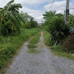 出售地皮-泰国-曼谷-588-平方米-232.66-01