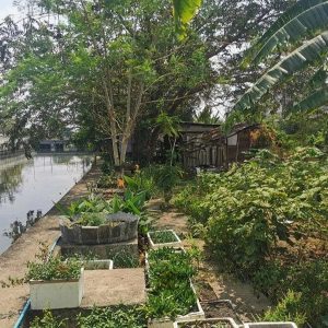 出售地皮-泰国-曼谷-592-平方米-300-01