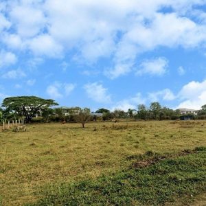 出售地皮-泰国-曼谷-596-平方米-1196.58-01