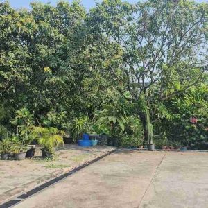 出售地皮-泰国-曼谷-6000-平方米-1028.58-01