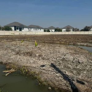 出售地皮-泰国-曼谷-6080-平方米-236.86-01