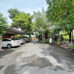 出售地皮-泰国-曼谷-616-平方米-306.15-01