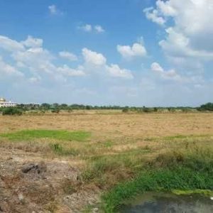 出售地皮-泰国-曼谷-68860-平方米-128.49-01