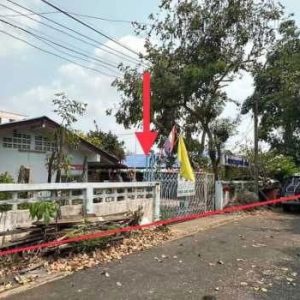 出售地皮-泰国-曼谷-732-平方米-313.83-01