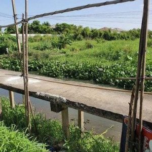 出售地皮-泰国-曼谷-752-平方米-257.15-01