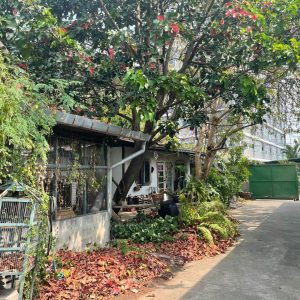 出售地皮-泰国-曼谷-764-平方米-1436.06-01