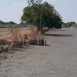 出售地皮-泰国-曼谷-76724-平方米-139.29-01