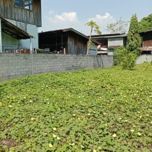 出售地皮-泰国-曼谷-776-平方米-0-01