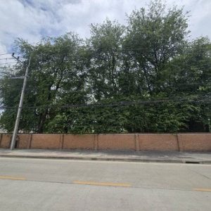 出售地皮-泰国-曼谷-7888-平方米-514.29-01