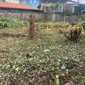 出售地皮-泰国-曼谷-792-平方米-432.92-01