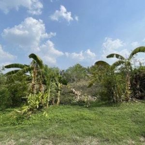 出售地皮-泰国-曼谷-7980-平方米-505.72-01