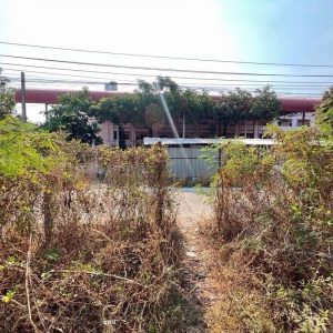 出售地皮-泰国-曼谷-800-平方米-557.15-01