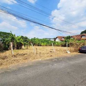 出售地皮-泰国-曼谷-800-平方米-728.58-01