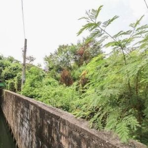 出售地皮-泰国-曼谷-812-平方米-177.35-01