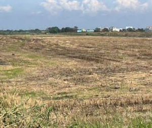 出售地皮-泰国-曼谷-81516-平方米-147.86-01