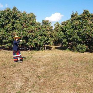 出售地皮-泰国-曼谷-8172-平方米-15.98-01