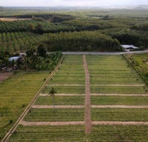 出售地皮-泰国-曼谷-82692-平方米-32.15-01