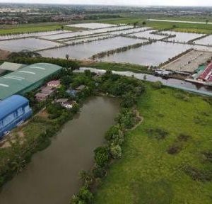 出售地皮-泰国-曼谷-871592-平方米-100.75-01