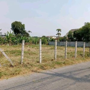 出售地皮-泰国-曼谷-928-平方米-557.15-01