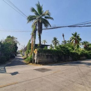 出售地皮-泰国-曼谷-9308-平方米-428.58-01