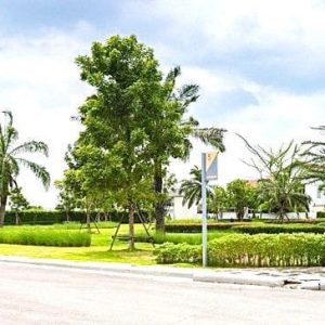 出售地皮-泰国-曼谷-956-平方米-167.15-01