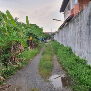 出售地皮-泰国-曼谷-960-平方米-239.29-01