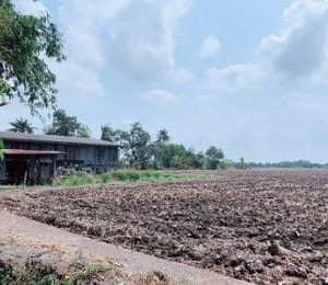 出售地皮-泰国-曼谷-99200-平方米-117.86-01