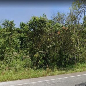 出售地皮-泰国-桐艾-40184-平方米-2.15-01