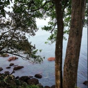 出售地皮-泰国-桐艾-59200-平方米-86.89-01