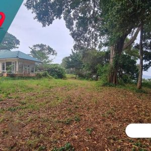 出售地皮-泰国-桐艾-59220-平方米-107.12-01