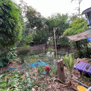 出售地皮-泰国-武里喃-13164-平方米-33.6-01