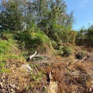 出售地皮-泰国-武里喃-700-平方米-416.35-01