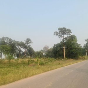 出售地皮-泰国-汶干府-11960-平方米-64.29-01