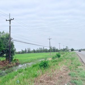 出售地皮-泰国-沙功那空-10400-平方米-32.98-01